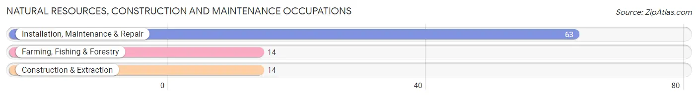 Natural Resources, Construction and Maintenance Occupations in Zip Code 04945