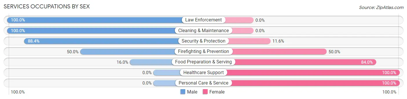 Services Occupations by Sex in Zip Code 04953