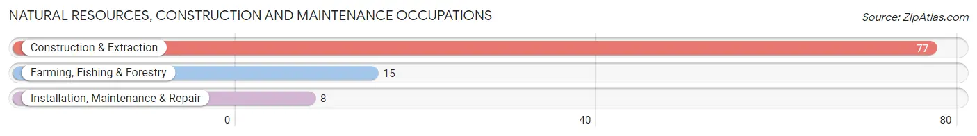 Natural Resources, Construction and Maintenance Occupations in Zip Code 04958
