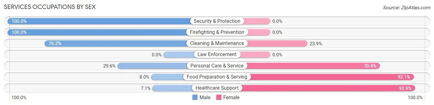 Services Occupations by Sex in Zip Code 04963