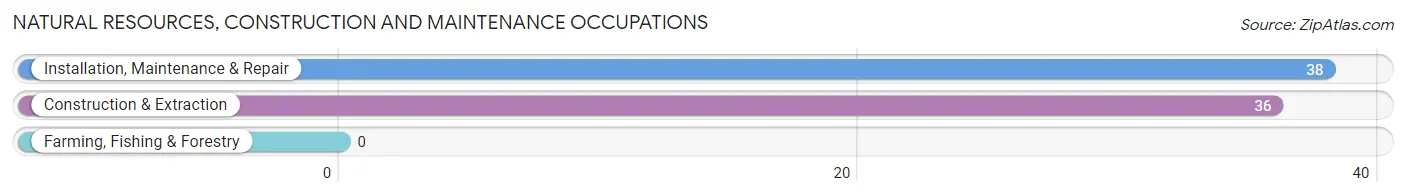 Natural Resources, Construction and Maintenance Occupations in Zip Code 04969