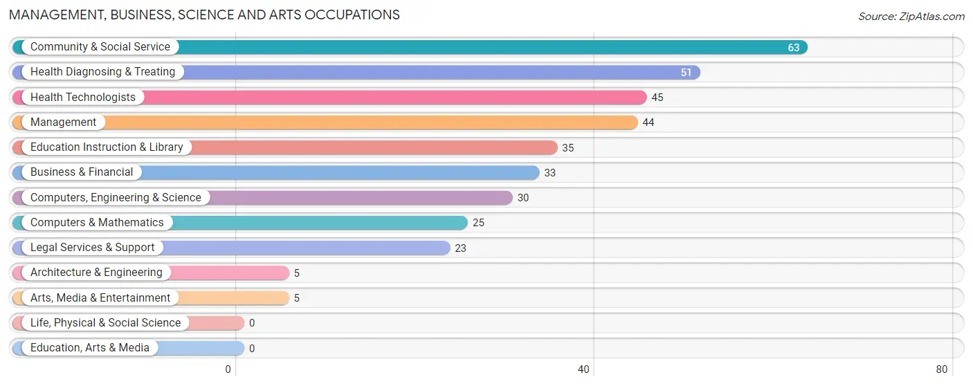 Management, Business, Science and Arts Occupations in Zip Code 04971
