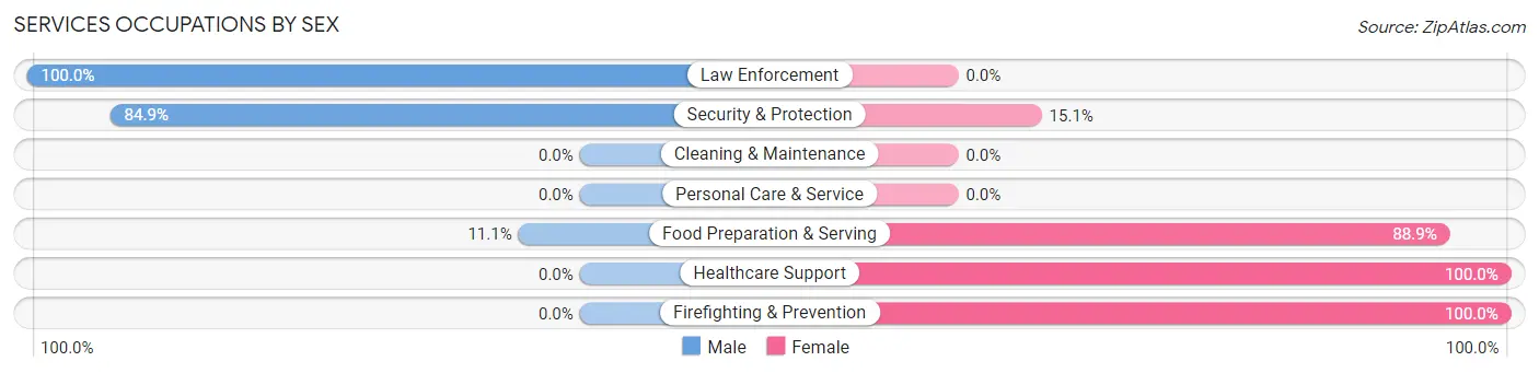 Services Occupations by Sex in Zip Code 04971
