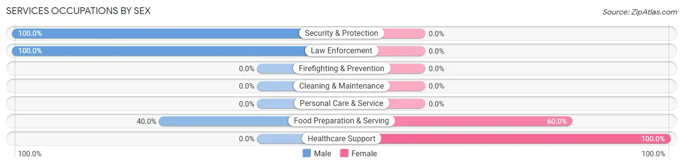 Services Occupations by Sex in Zip Code 04974