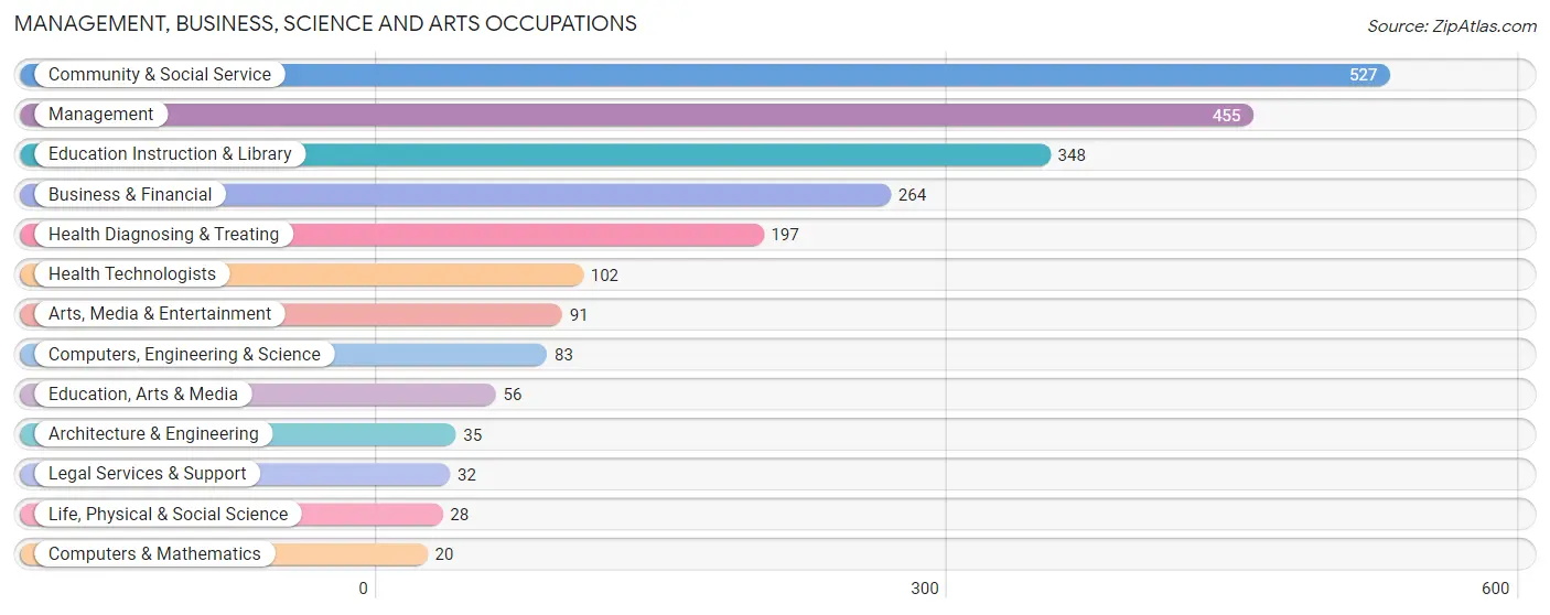 Management, Business, Science and Arts Occupations in Zip Code 04976