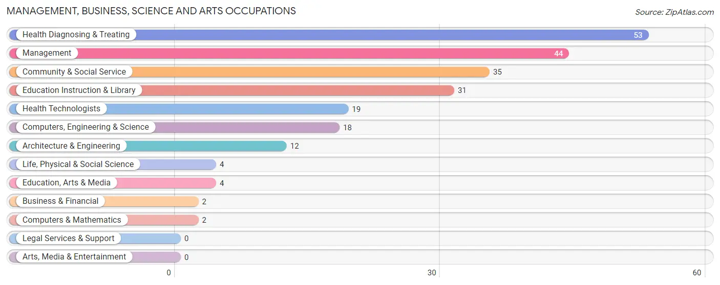 Management, Business, Science and Arts Occupations in Zip Code 04978