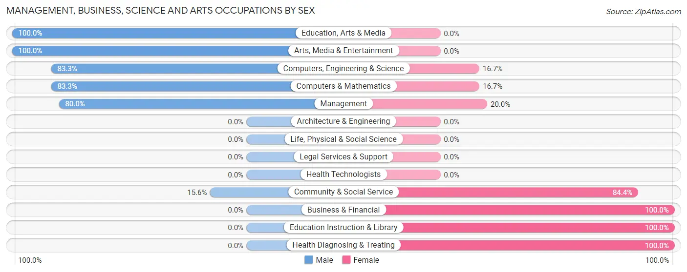 Management, Business, Science and Arts Occupations by Sex in Zip Code 04979