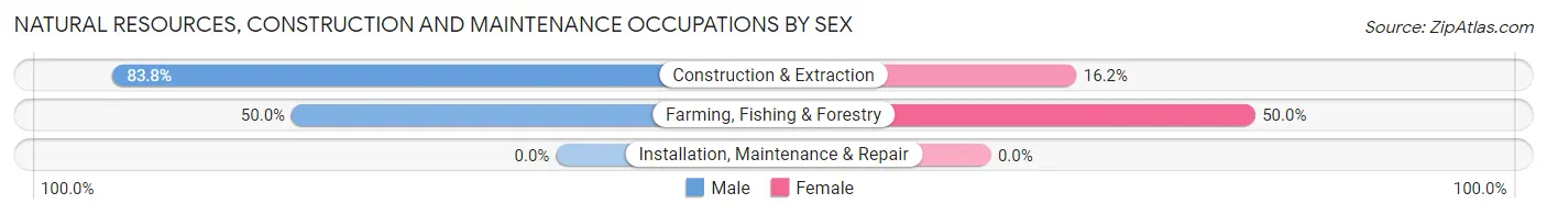 Natural Resources, Construction and Maintenance Occupations by Sex in Zip Code 04979