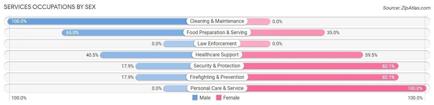 Services Occupations by Sex in Zip Code 04981