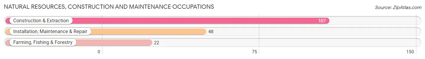 Natural Resources, Construction and Maintenance Occupations in Zip Code 04983