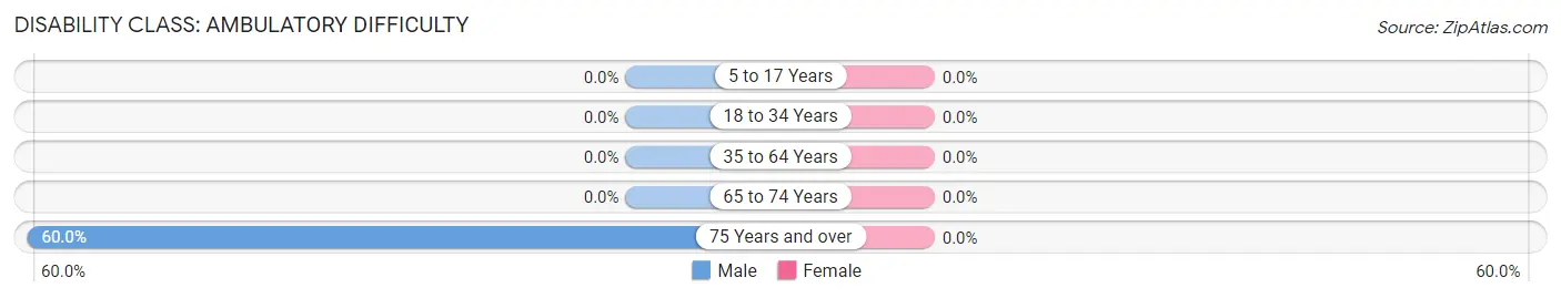 Disability in Zip Code 04985: <span>Ambulatory Difficulty</span>