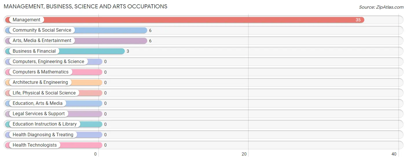 Management, Business, Science and Arts Occupations in Zip Code 04985