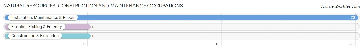 Natural Resources, Construction and Maintenance Occupations in Zip Code 04985