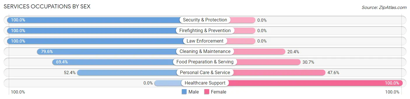 Services Occupations by Sex in Zip Code 04986