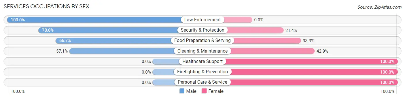 Services Occupations by Sex in Zip Code 04987