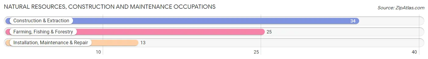 Natural Resources, Construction and Maintenance Occupations in Zip Code 04988