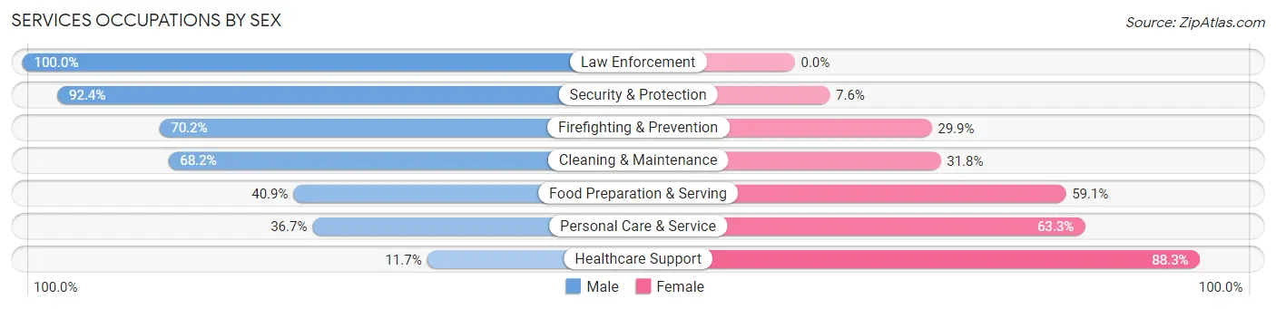 Services Occupations by Sex in Zip Code 07080