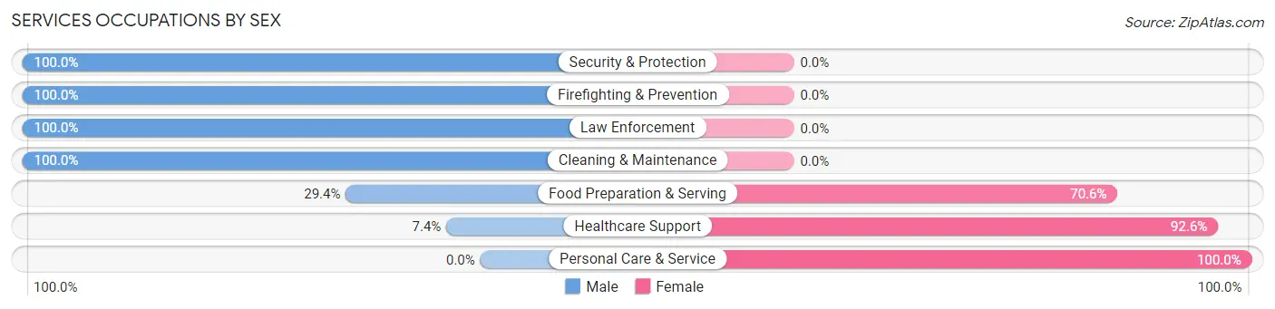 Services Occupations by Sex in Zip Code 39705