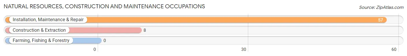 Natural Resources, Construction and Maintenance Occupations in Zip Code 40012