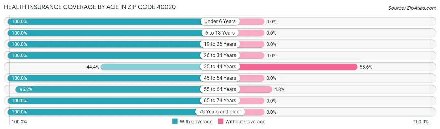 Health Insurance Coverage by Age in Zip Code 40020