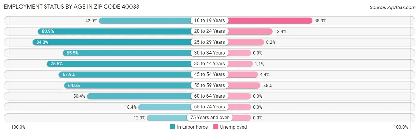 Employment Status by Age in Zip Code 40033