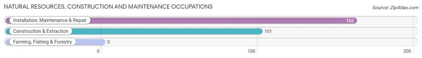Natural Resources, Construction and Maintenance Occupations in Zip Code 40045