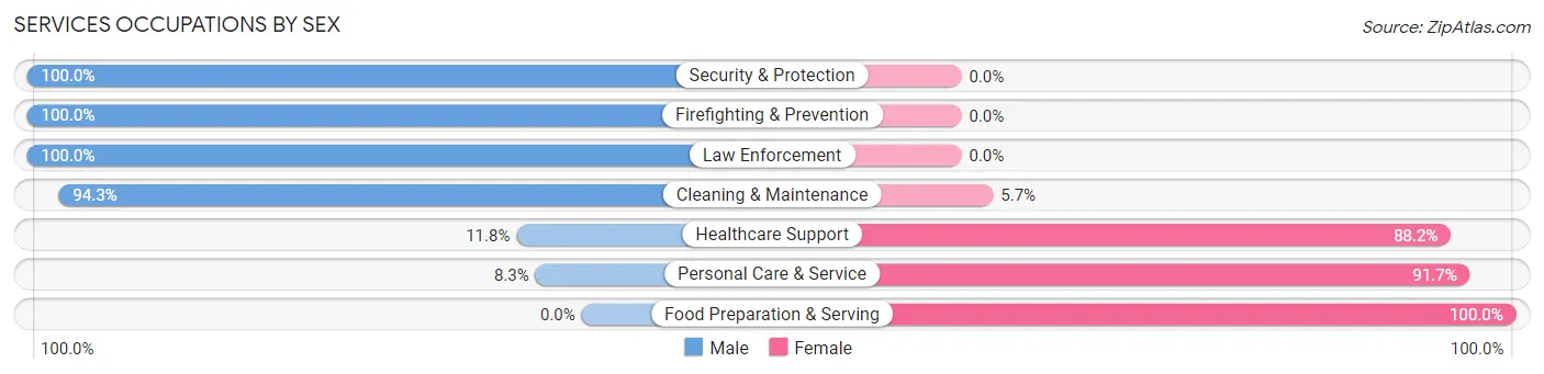 Services Occupations by Sex in Zip Code 40045