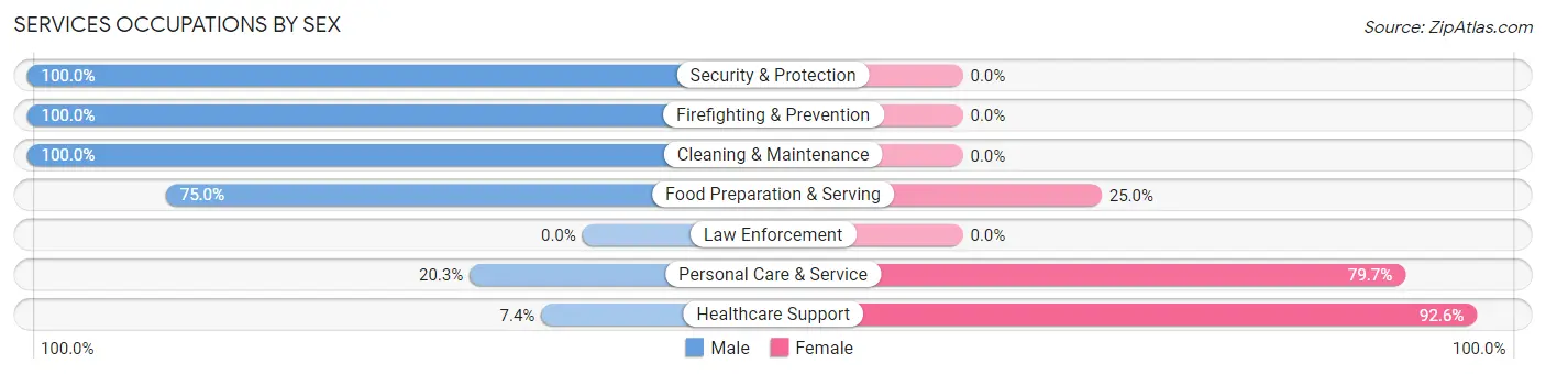 Services Occupations by Sex in Zip Code 40056