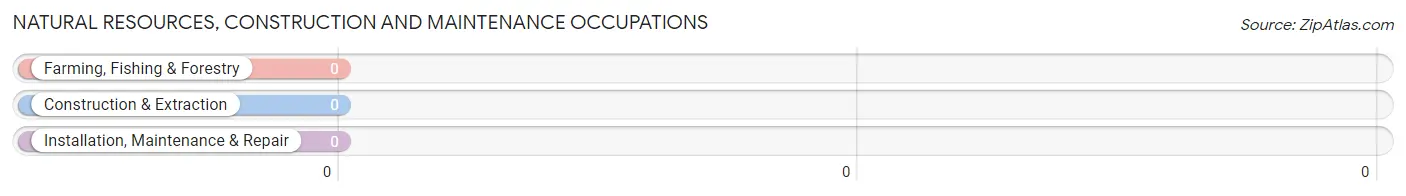 Natural Resources, Construction and Maintenance Occupations in Zip Code 40058
