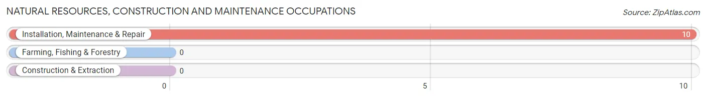 Natural Resources, Construction and Maintenance Occupations in Zip Code 40062