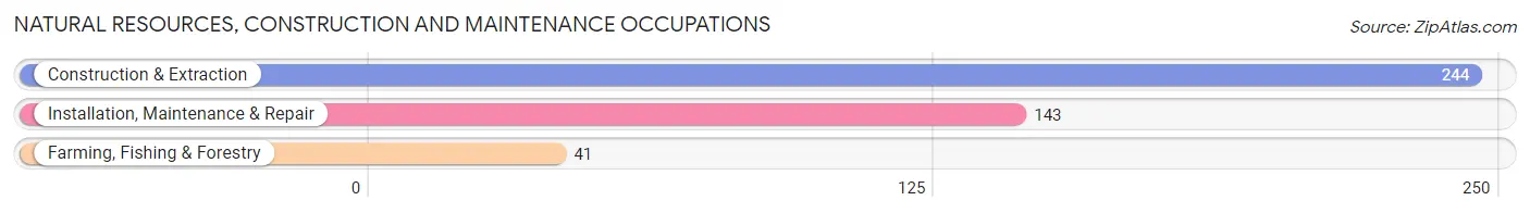 Natural Resources, Construction and Maintenance Occupations in Zip Code 40067