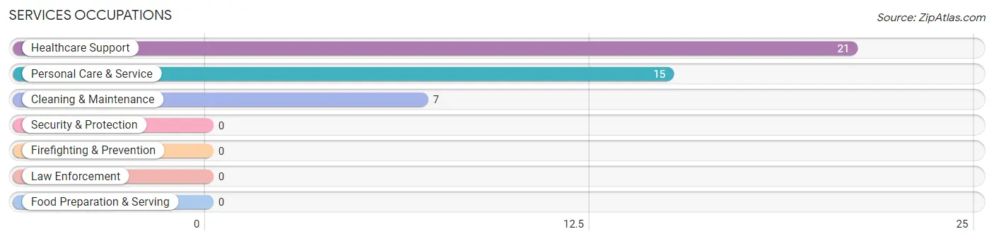 Services Occupations in Zip Code 40077