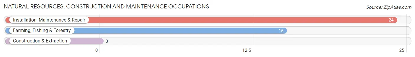Natural Resources, Construction and Maintenance Occupations in Zip Code 40115