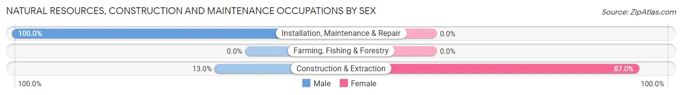 Natural Resources, Construction and Maintenance Occupations by Sex in Zip Code 40155