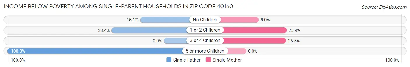 Income Below Poverty Among Single-Parent Households in Zip Code 40160