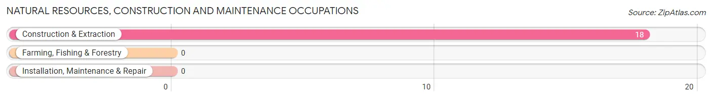 Natural Resources, Construction and Maintenance Occupations in Zip Code 40161