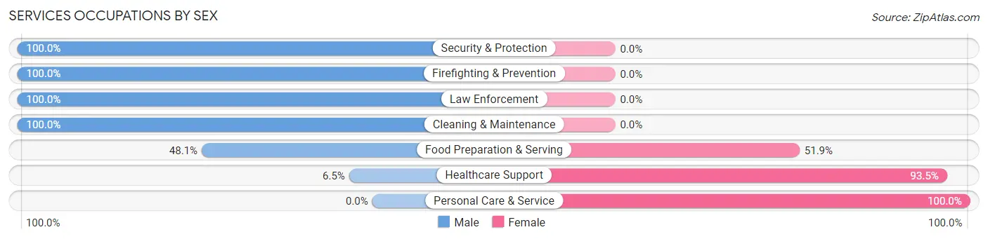 Services Occupations by Sex in Zip Code 40162