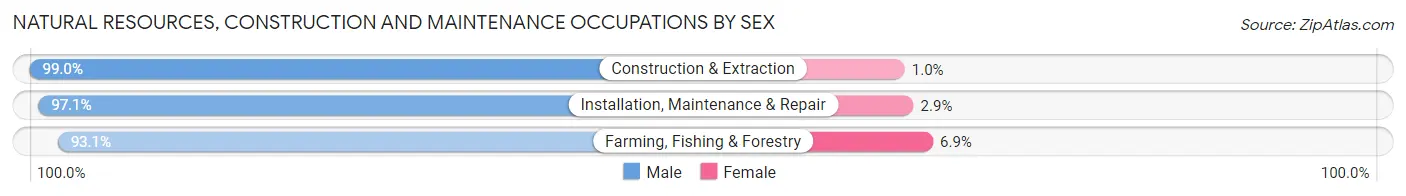 Natural Resources, Construction and Maintenance Occupations by Sex in Zip Code 40175