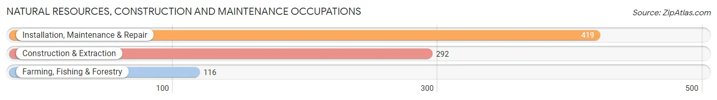 Natural Resources, Construction and Maintenance Occupations in Zip Code 40175