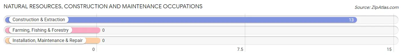 Natural Resources, Construction and Maintenance Occupations in Zip Code 40178
