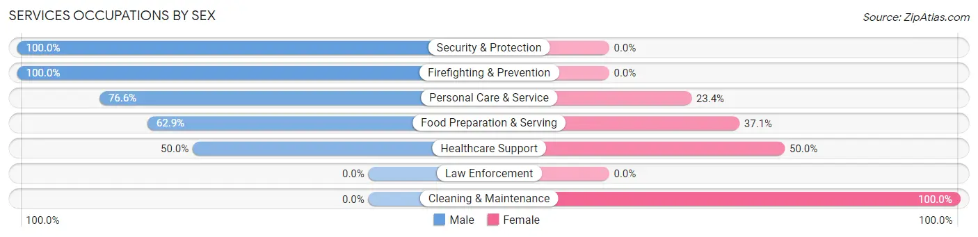 Services Occupations by Sex in Zip Code 40202