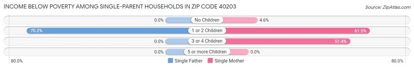 Income Below Poverty Among Single-Parent Households in Zip Code 40203
