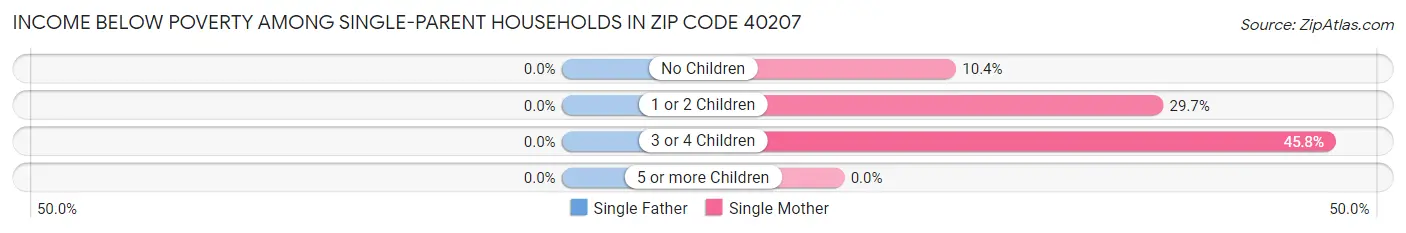 Income Below Poverty Among Single-Parent Households in Zip Code 40207