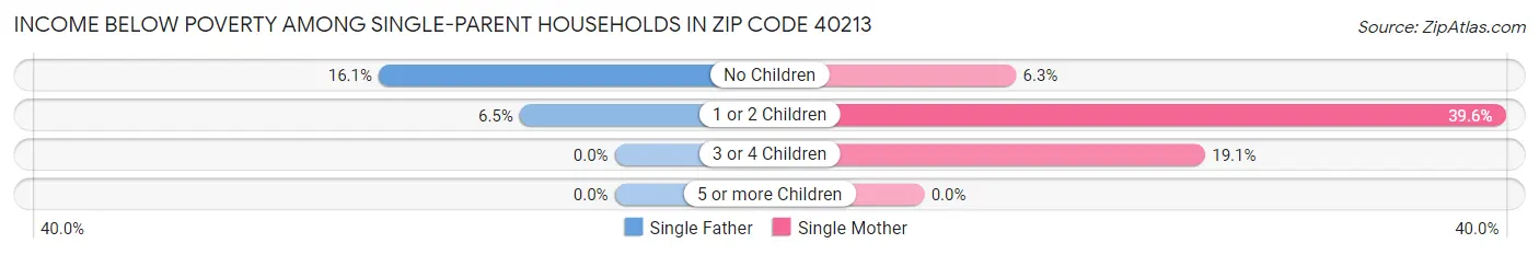 Income Below Poverty Among Single-Parent Households in Zip Code 40213