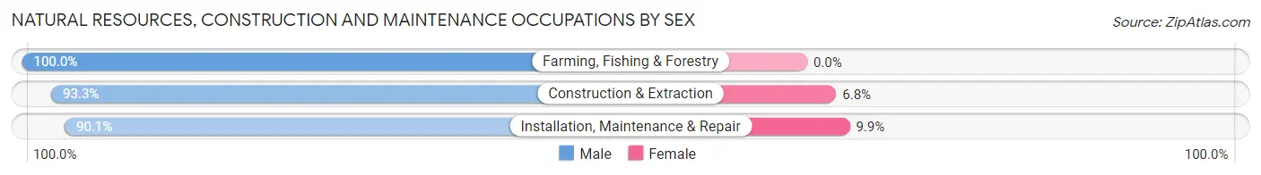 Natural Resources, Construction and Maintenance Occupations by Sex in Zip Code 40219
