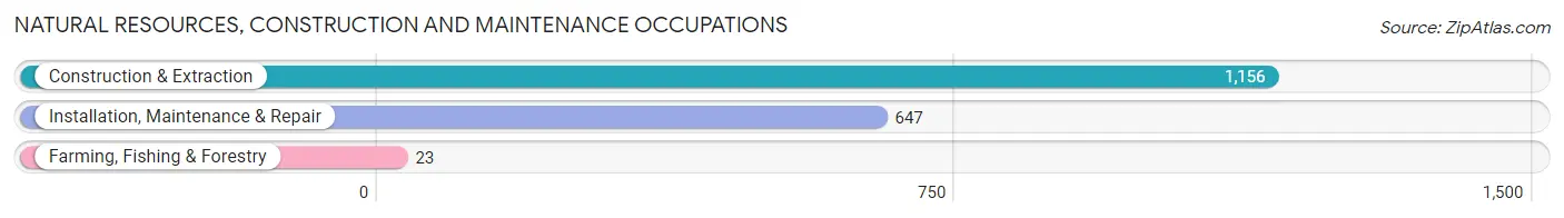 Natural Resources, Construction and Maintenance Occupations in Zip Code 40219