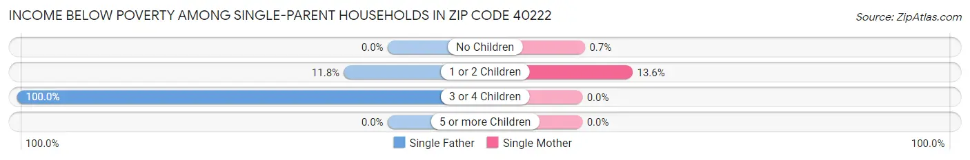 Income Below Poverty Among Single-Parent Households in Zip Code 40222