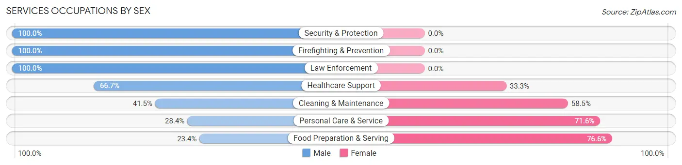 Services Occupations by Sex in Zip Code 40243