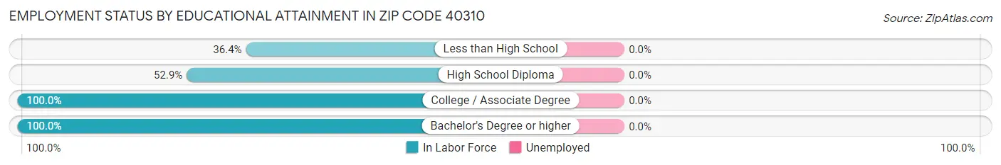 Employment Status by Educational Attainment in Zip Code 40310