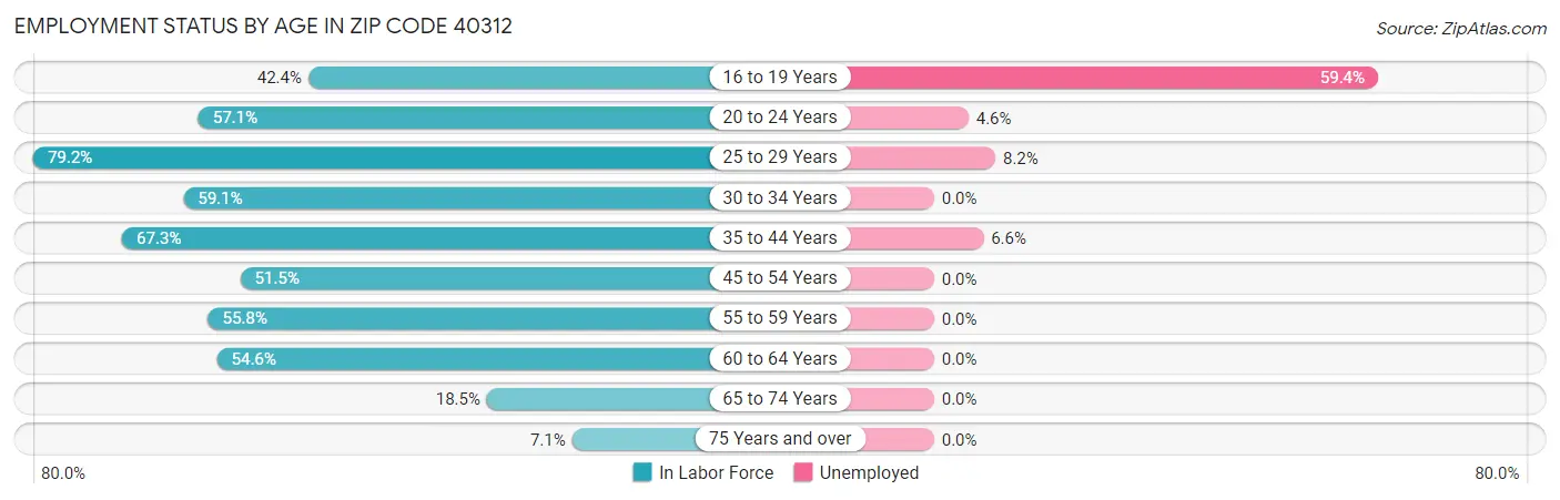 Employment Status by Age in Zip Code 40312